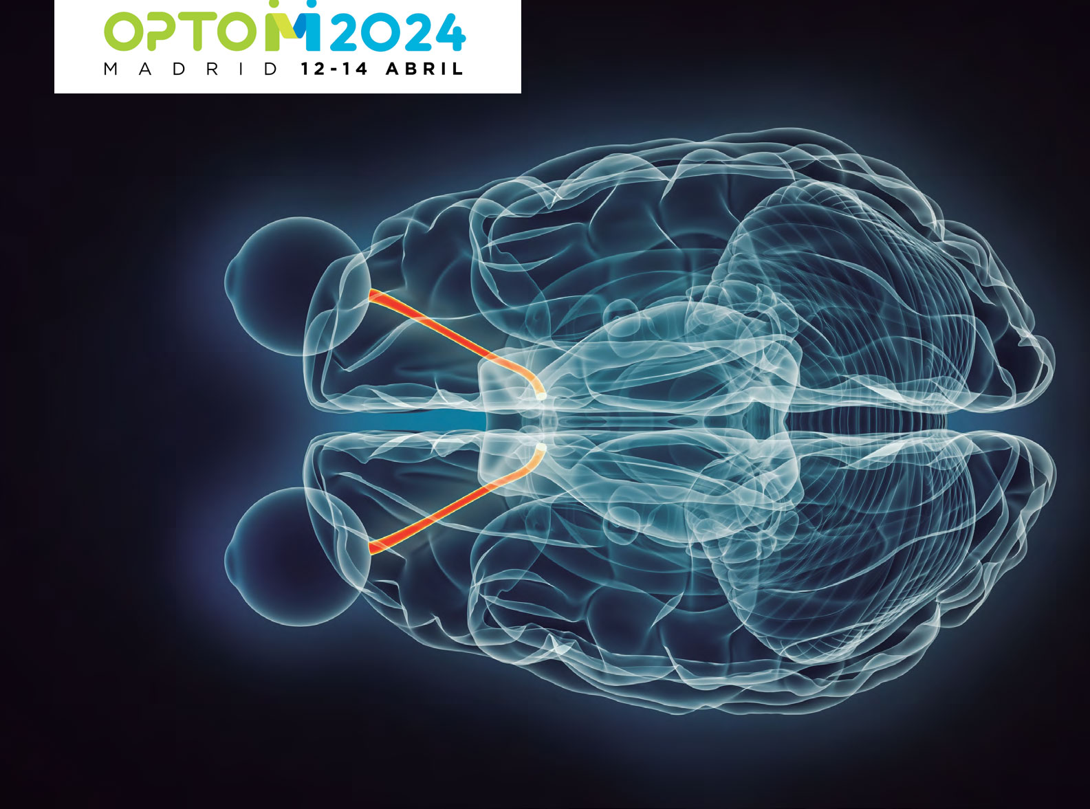OPTOM 24, avance del programa