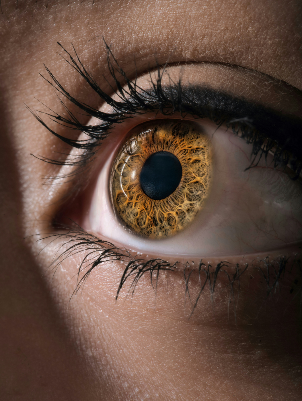 El ojo humano