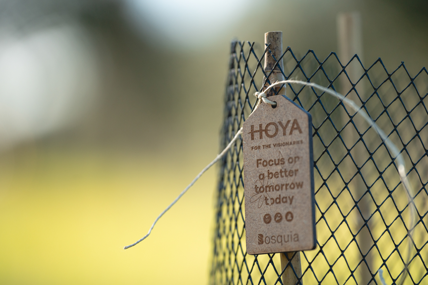 HOYA Lens Iberia planta 250 árboles One Vision Day