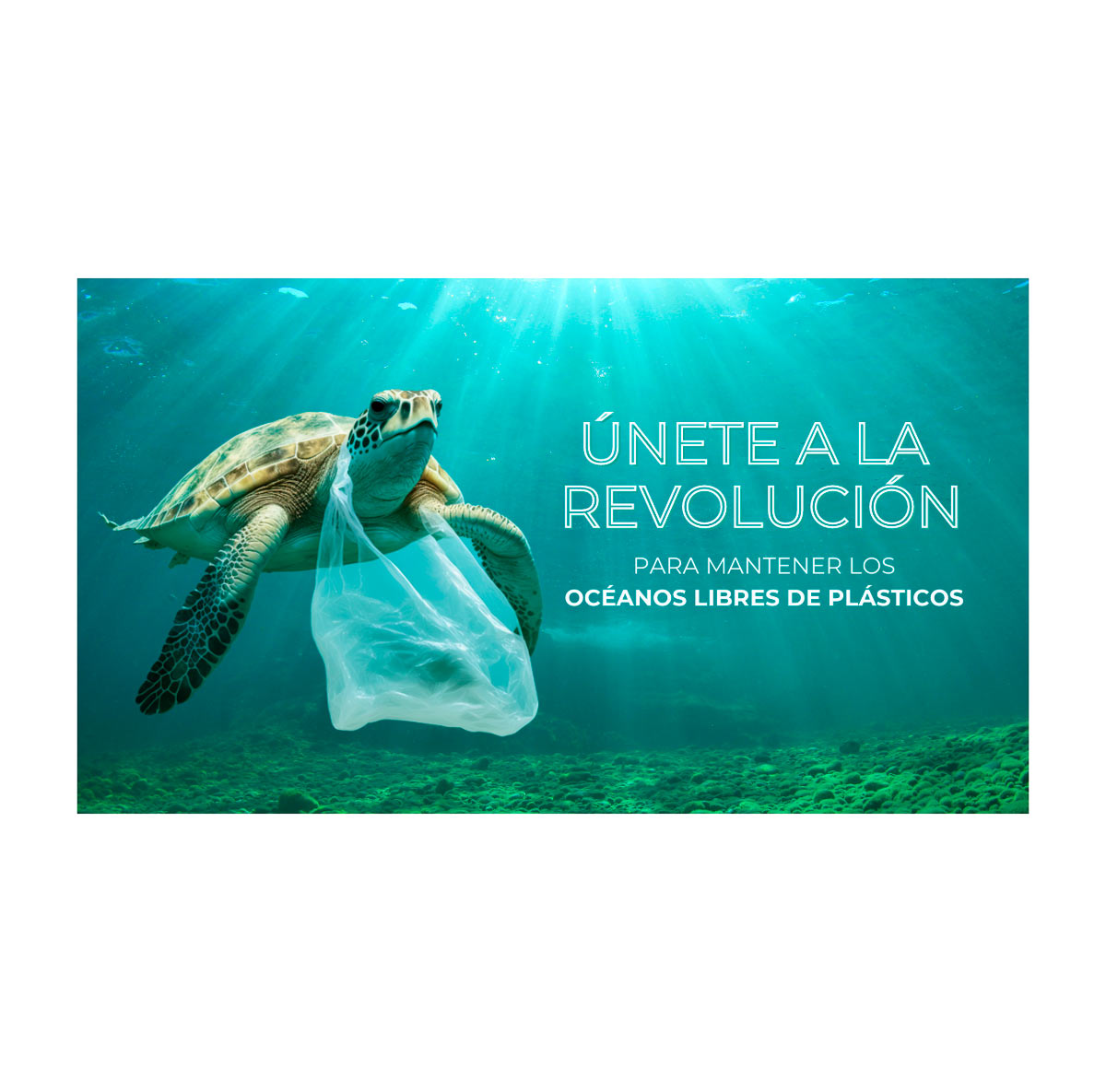 Coopervision y Natural Optics Group ayudan a retirar más de 370.000 botellas de plástico de los océanos
